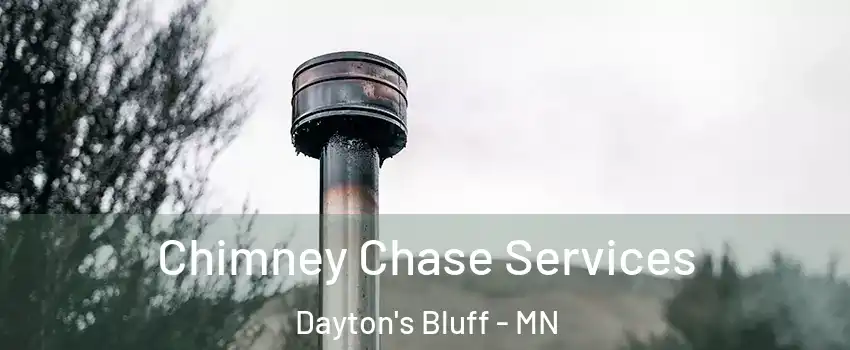 Chimney Chase Services Dayton's Bluff - MN