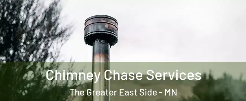 Chimney Chase Services The Greater East Side - MN