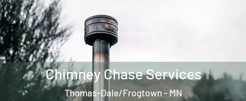 Chimney Chase Services Thomas-Dale/Frogtown - MN
