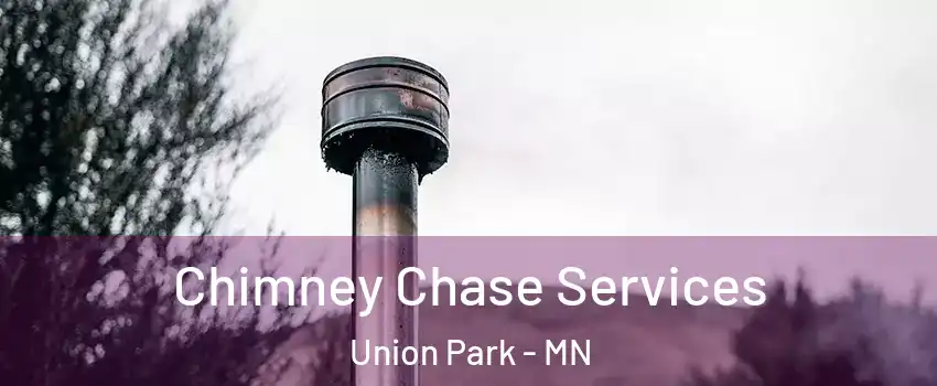 Chimney Chase Services Union Park - MN