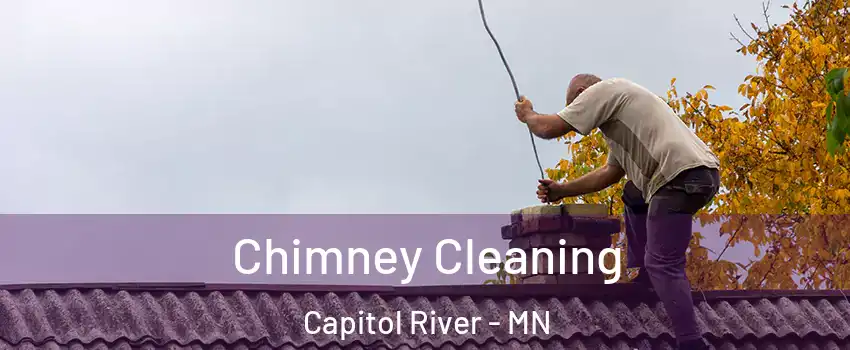 Chimney Cleaning Capitol River - MN