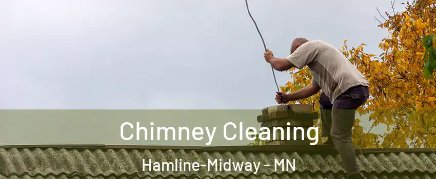 Chimney Cleaning Hamline-Midway - MN