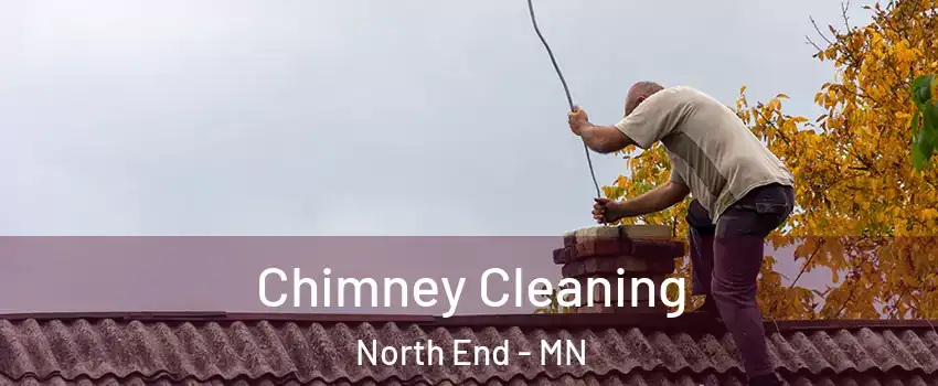 Chimney Cleaning North End - MN
