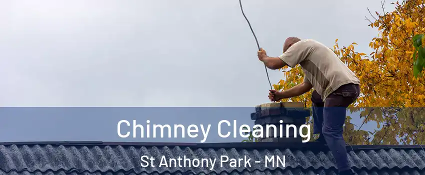 Chimney Cleaning St Anthony Park - MN