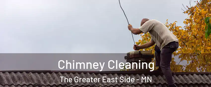 Chimney Cleaning The Greater East Side - MN