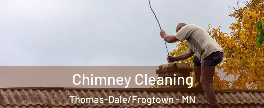 Chimney Cleaning Thomas-Dale/Frogtown - MN