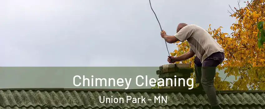 Chimney Cleaning Union Park - MN