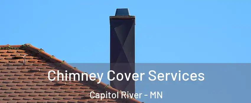 Chimney Cover Services Capitol River - MN