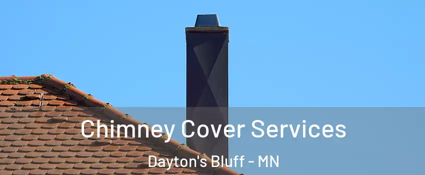 Chimney Cover Services Dayton's Bluff - MN