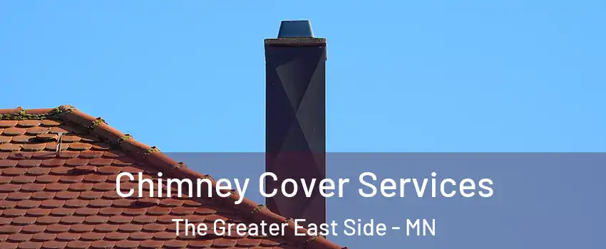 Chimney Cover Services The Greater East Side - MN
