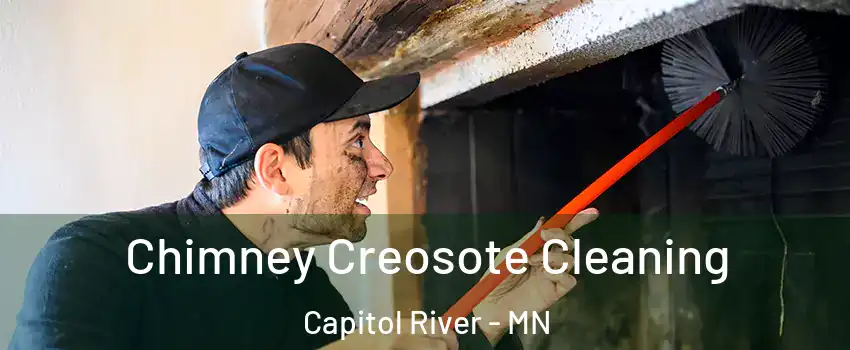 Chimney Creosote Cleaning Capitol River - MN