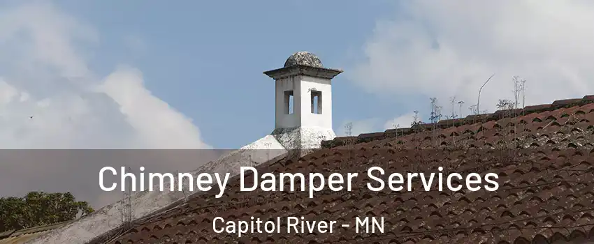 Chimney Damper Services Capitol River - MN