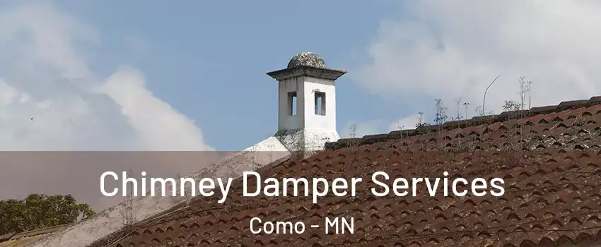 Chimney Damper Services Como - MN