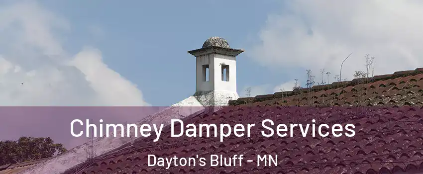 Chimney Damper Services Dayton's Bluff - MN