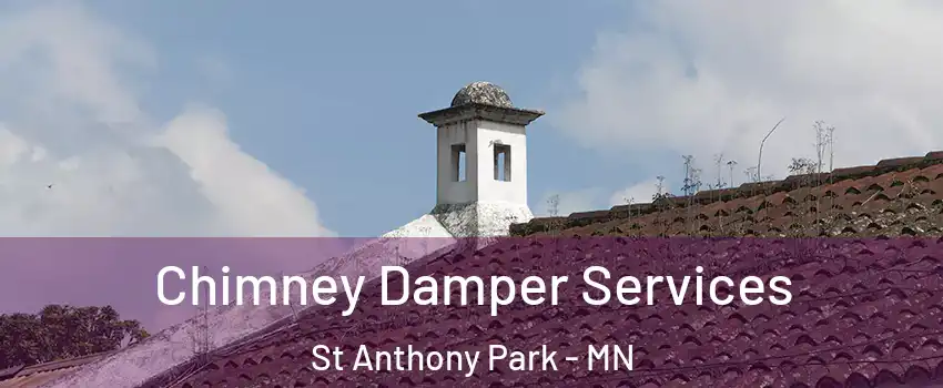 Chimney Damper Services St Anthony Park - MN