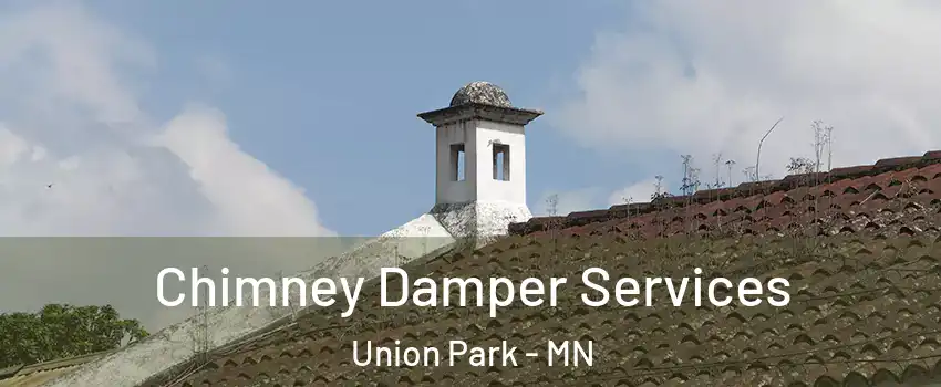 Chimney Damper Services Union Park - MN