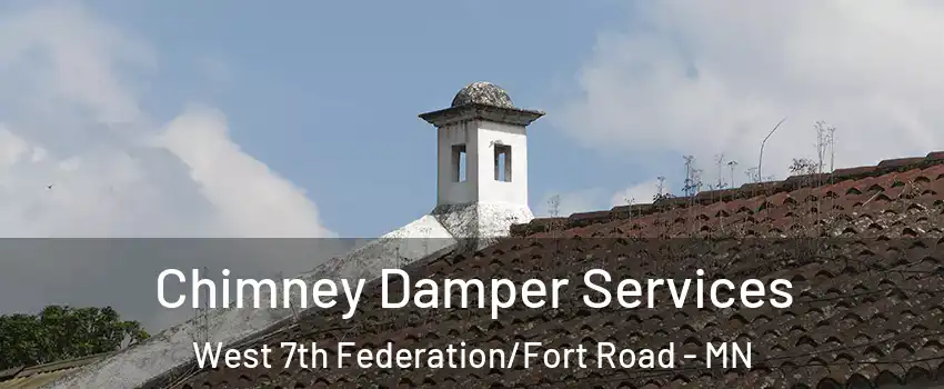 Chimney Damper Services West 7th Federation/Fort Road - MN