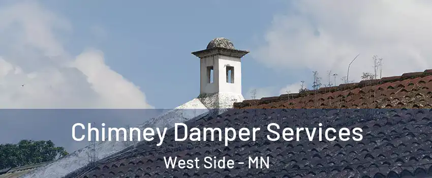Chimney Damper Services West Side - MN