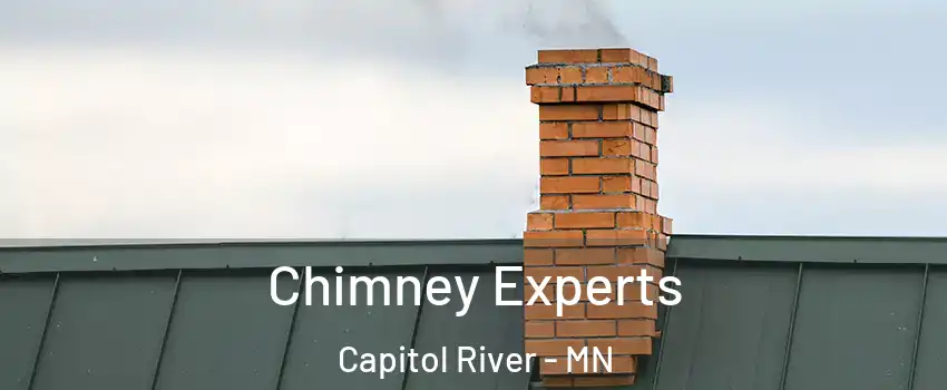 Chimney Experts Capitol River - MN