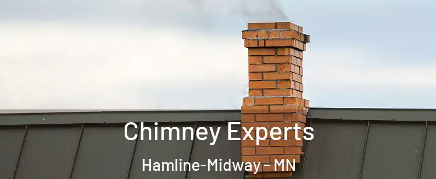 Chimney Experts Hamline-Midway - MN