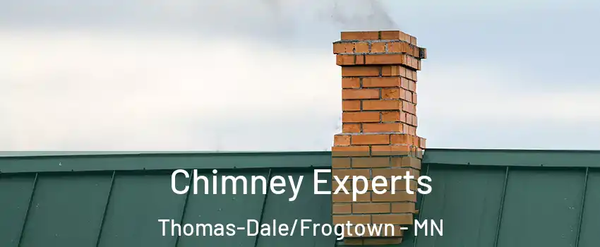 Chimney Experts Thomas-Dale/Frogtown - MN