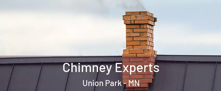 Chimney Experts Union Park - MN