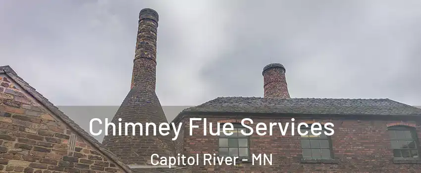 Chimney Flue Services Capitol River - MN