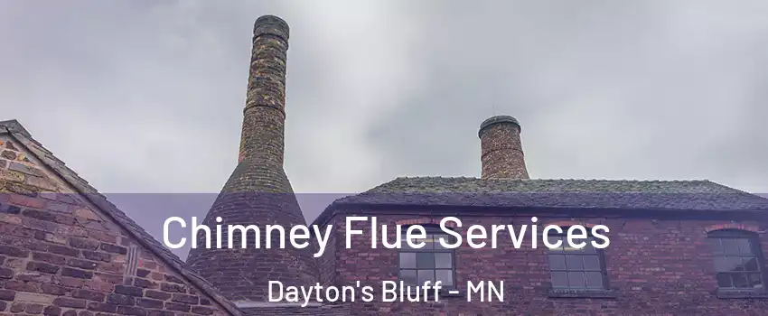 Chimney Flue Services Dayton's Bluff - MN