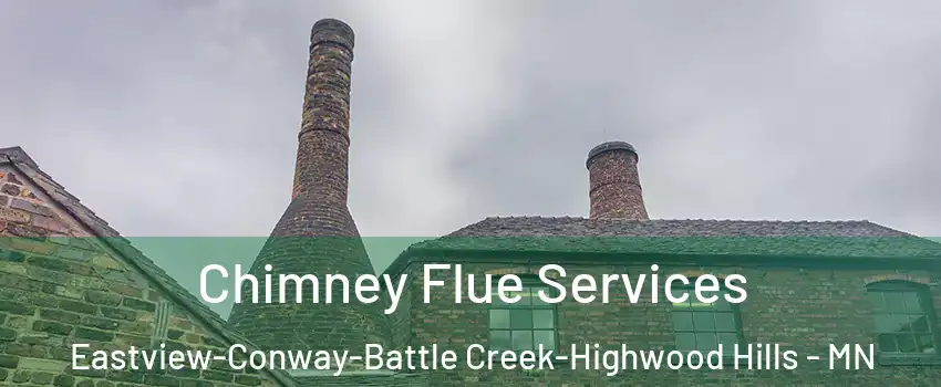 Chimney Flue Services Eastview-Conway-Battle Creek-Highwood Hills - MN