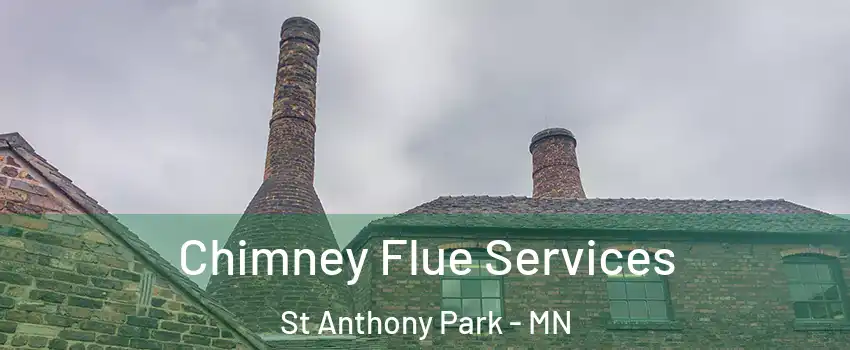 Chimney Flue Services St Anthony Park - MN