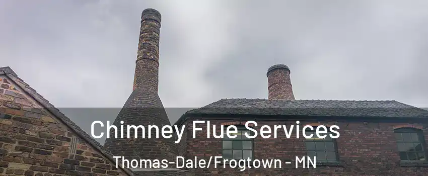 Chimney Flue Services Thomas-Dale/Frogtown - MN