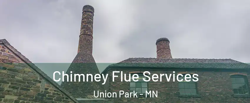 Chimney Flue Services Union Park - MN