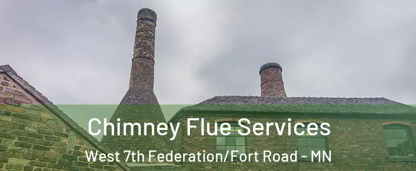 Chimney Flue Services West 7th Federation/Fort Road - MN
