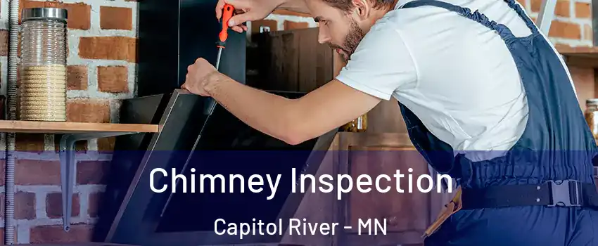 Chimney Inspection Capitol River - MN