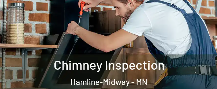 Chimney Inspection Hamline-Midway - MN