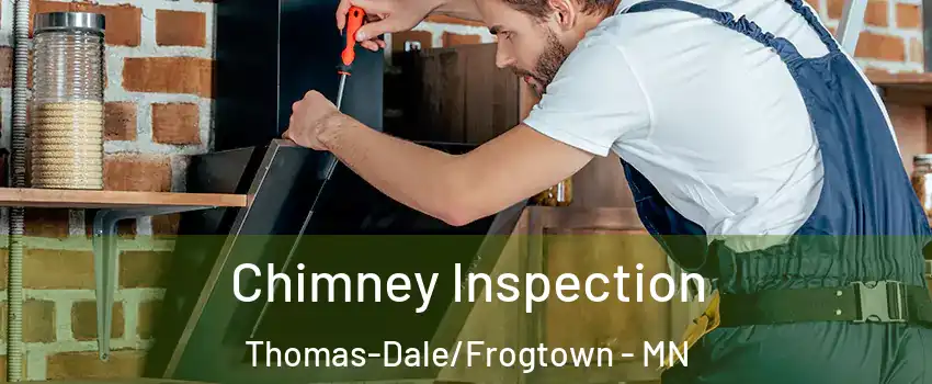 Chimney Inspection Thomas-Dale/Frogtown - MN