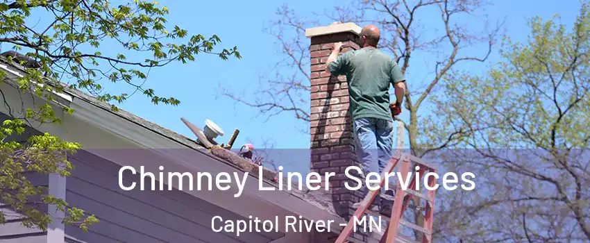 Chimney Liner Services Capitol River - MN