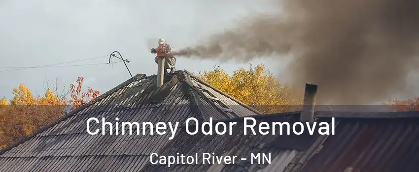 Chimney Odor Removal Capitol River - MN