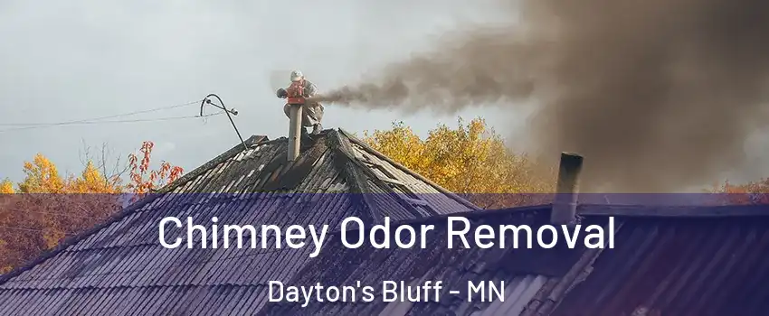 Chimney Odor Removal Dayton's Bluff - MN