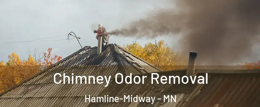 Chimney Odor Removal Hamline-Midway - MN