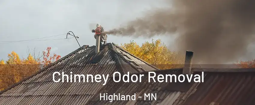 Chimney Odor Removal Highland - MN