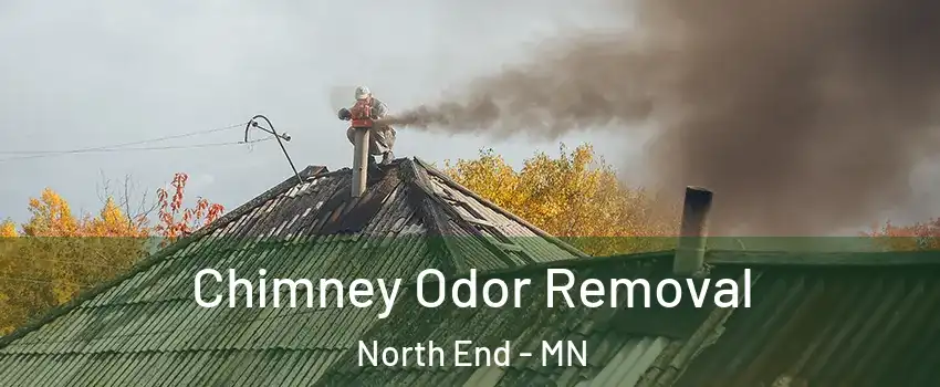 Chimney Odor Removal North End - MN