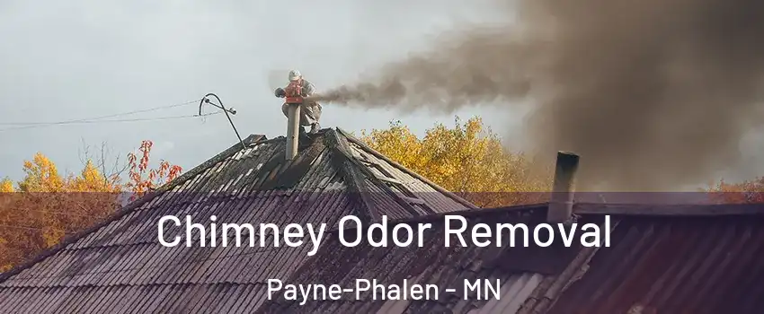 Chimney Odor Removal Payne-Phalen - MN