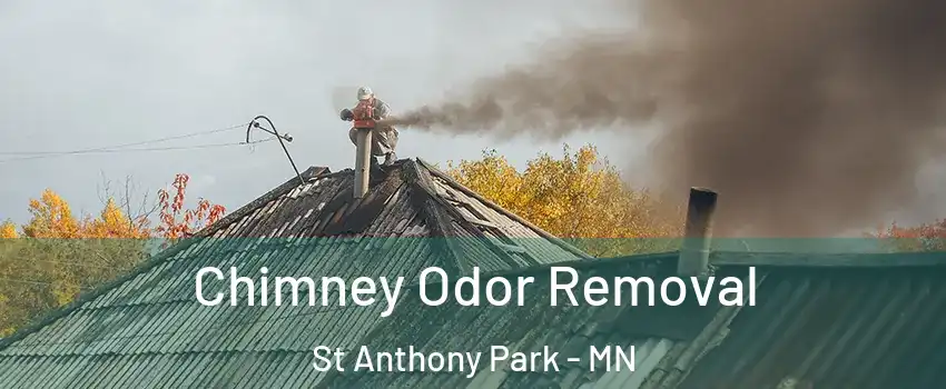 Chimney Odor Removal St Anthony Park - MN