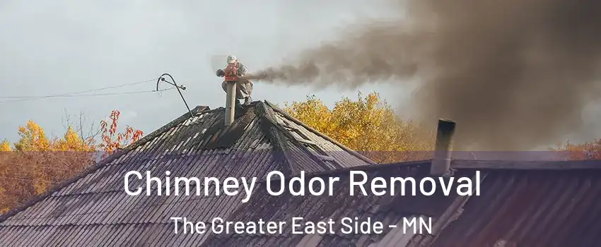 Chimney Odor Removal The Greater East Side - MN