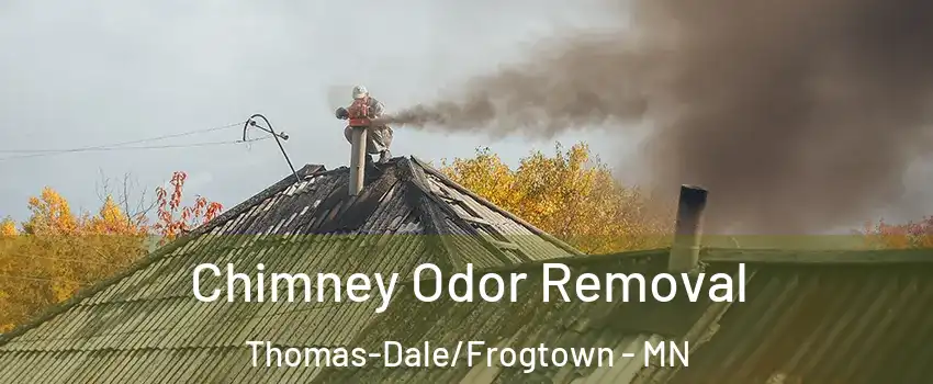 Chimney Odor Removal Thomas-Dale/Frogtown - MN