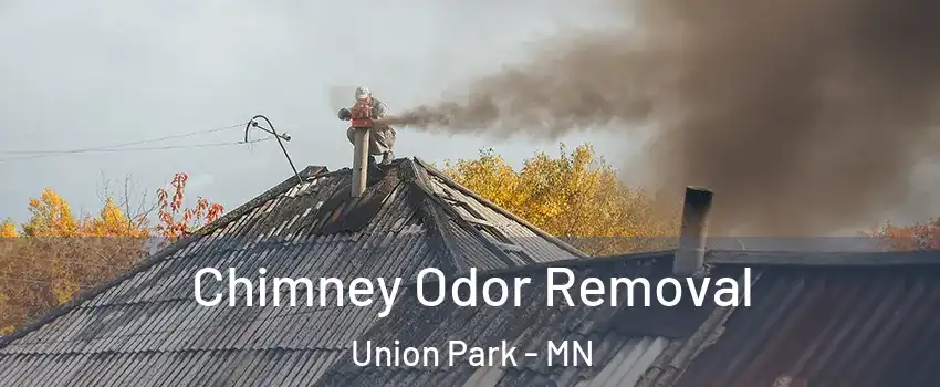 Chimney Odor Removal Union Park - MN