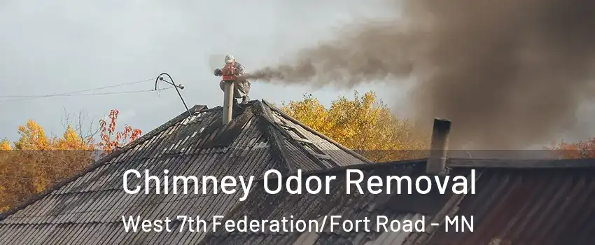 Chimney Odor Removal West 7th Federation/Fort Road - MN