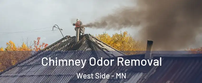 Chimney Odor Removal West Side - MN