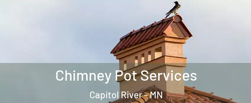 Chimney Pot Services Capitol River - MN